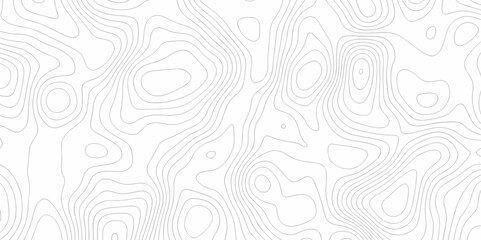 Vector white wave line geography landscape Topo contour map on white background. Geographic mountain relief diagram line wave carve pattern. Topographic world map contour lines map texture.
