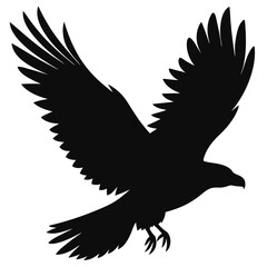 eagle in flight