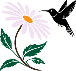 Illustration of a hummingbird hovering by a daisy flower with green leaves. Perfect for nature, wildlife, and botanical themes.