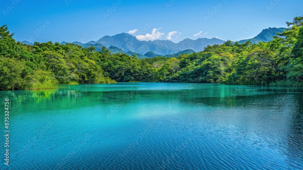 Wall mural a tranquil turquoise lake surrounded by lush green forests with mountains in the background under a 