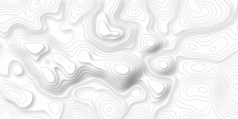 Vector white wave line geography landscape Topo contour map on white background. Geographic mountain relief diagram line wave carve pattern. Topographic world map contour lines map.