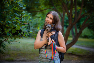 A young woman holds a shaggy puppy in her hands. Love for pets. Yorkshire Terrier puppy.