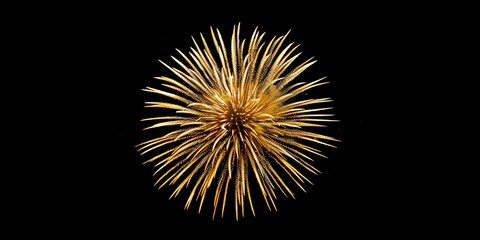 Obraz premium Golden Fireworks Display.