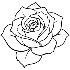 rose outline coloring book page line art illustration digital drawing