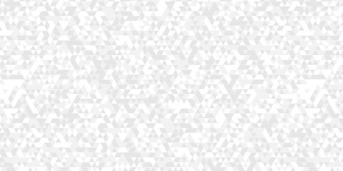 Vector geometric seamless technology gray and white triangle element light background. Abstract digital grid light pattern white Polygon Mosaic triangle Background, business and corporate background