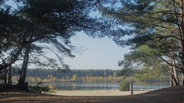 Best places in Belgium : sand, lake and pine trees in " Lommel Sahara " nature reserve