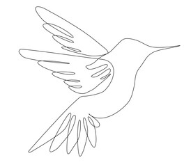 One continuous line drawing of cute hummingbird for business logo, vector illustration. © Creative BD07