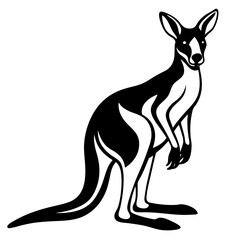 kangaroo vector illustration