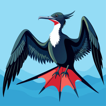recommend clip art: Frigatebird Vector for various uses