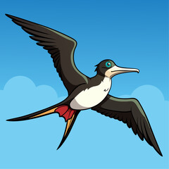 Frigatebird Vector for various uses