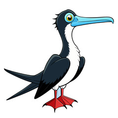 Fototapeta premium Frigatebird Vector for various uses