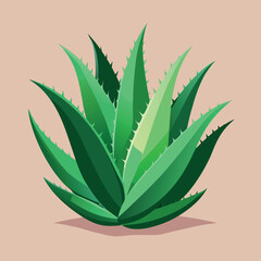 Fototapeta premium Realistic plant healthcare cosmetic in vector form: aloe vera 