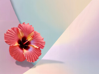 Beautiful Vibrant Pink Hibiscus Blossom Close-up Hibiscus Flower for Tropical Designs