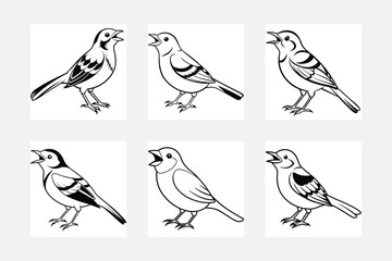 set of warbler birds vector silhouette 