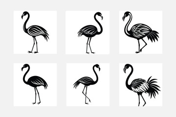 set of flamingos vector silhouette 
