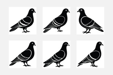 set of pigeon birds vector silhouette  