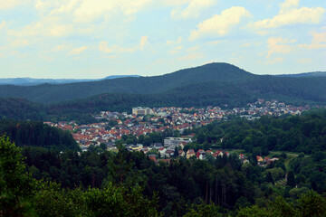 Fototapeta premium Die Stadt Dahn im Pfälzerwald im Landkreis Südwestpfalz im deutschen Bundesland Rheinland-Pfalz. Aussicht vom Premium-Wanderweg Dahner Felsenpfad.