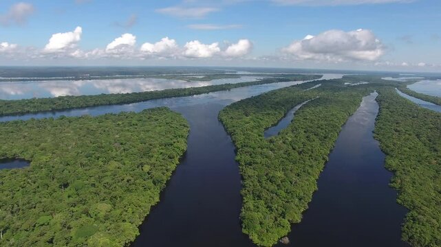 Aerial view of Anavilhas, the biggeste river archipelago of the world, in the Negro River, with  islands covered by igap&oacute;s, flooded vegetation - Amazon Region - Novo Air&atilde;o, Amazonas, Brazil