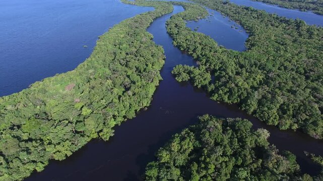 Aerial view of Anavilhas, the biggeste river archipelago of the world, in the Negro River, with  islands covered by igap&oacute;s, flooded vegetation - Amazon Region - Novo Air&atilde;o, Amazonas, Brazil