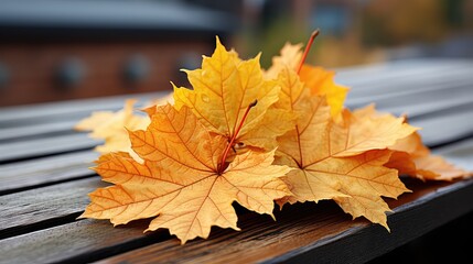 Autumn maple leaves on a wooden table