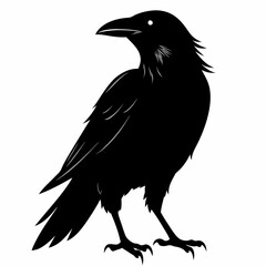Crow black silhouette