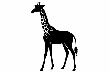giraffe silhouette, giraffe vector silhouettes isolated on a white background, Wild animals silhouette, giraffe
