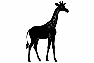 giraffe silhouette, giraffe vector silhouettes isolated on a white background, Wild animals silhouette, giraffe
