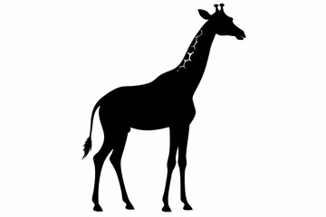 giraffe silhouette, giraffe vector silhouettes isolated on a white background, Wild animals silhouette, giraffe
