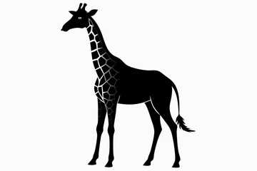 giraffe silhouette, giraffe vector silhouettes isolated on a white background, Wild animals silhouette, giraffe
