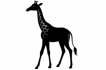 giraffe silhouette, giraffe vector silhouettes isolated on a white background, Wild animals silhouette, giraffe
