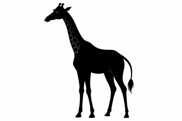 giraffe silhouette, giraffe vector silhouettes isolated on a white background, Wild animals silhouette, giraffe
