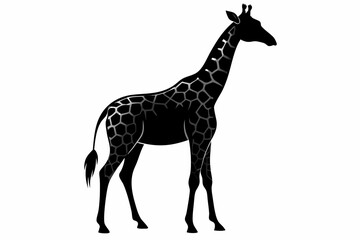Naklejka premium giraffe silhouette, giraffe vector silhouettes isolated on a white background, Wild animals silhouette, giraffe 