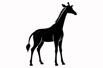 giraffe silhouette, giraffe vector silhouettes isolated on a white background, Wild animals silhouette, giraffe

