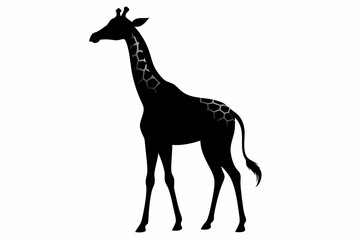 giraffe silhouette, giraffe vector silhouettes isolated on a white background, Wild animals silhouette, giraffe
