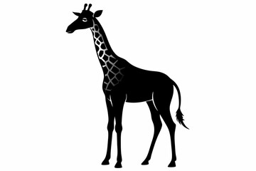 giraffe silhouette, giraffe vector silhouettes isolated on a white background, Wild animals silhouette, giraffe
