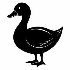 Duck black silhouette