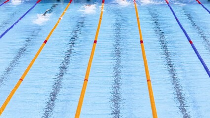 Swimmers swimming freestyle or front crawl during swimming competition in an Olympic-size swimming pool