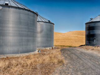 Road To The Fields Of Dusty © searagen