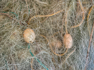 Buoys And Nets At An Oyster Farm