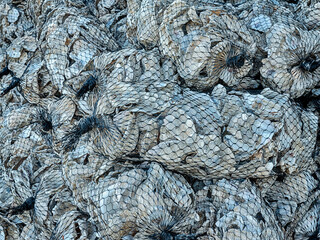 Background Of Mesh Bags With Oyster Shells
