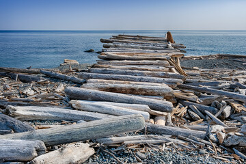 Driftwood Roof Looking Over Puget Sound