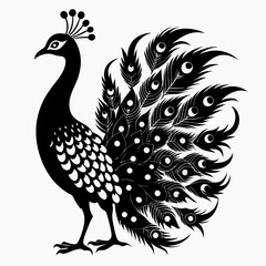 Peacock black silhouette
