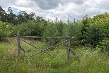 Fenced-in commercial forest with young deciduous trees and conifers