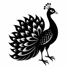 Peacock black silhouette