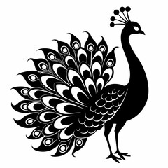 Fototapeta premium Peacock black silhouette