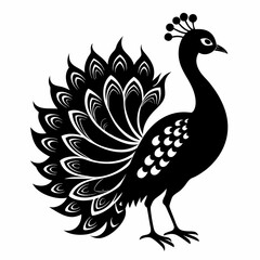 Peacock black silhouette