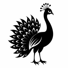 Peacock black silhouette