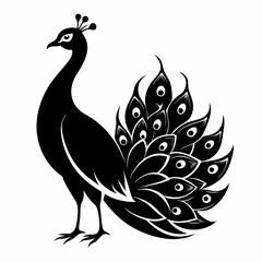Peacock black silhouette