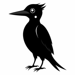 Woodpecker black silhouette