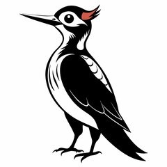 Woodpecker black silhouette